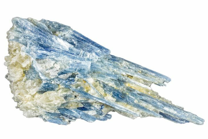 Vibrant Blue Kyanite Crystals In Quartz - Brazil #260741